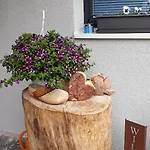 Pedrolini *