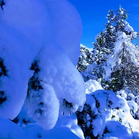 Appartement Pedrolini *