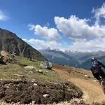Pedrolini