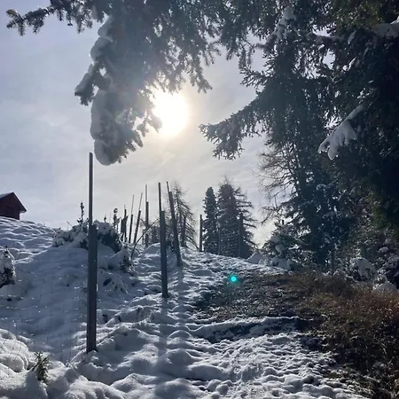 Pedrolini Apartamento