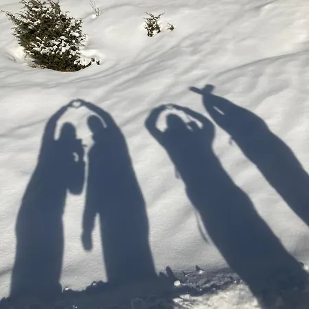 Pedrolini Apartamento Nauders