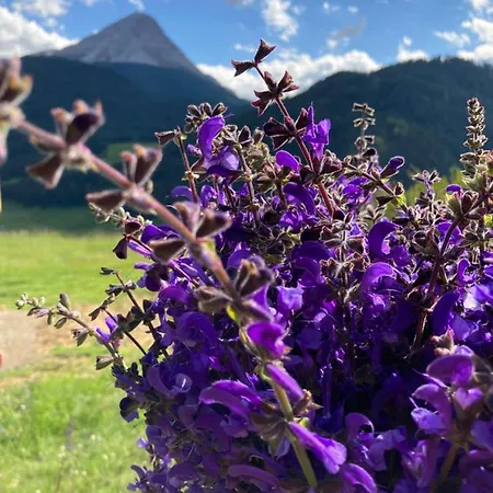 Apartamento Pedrolini