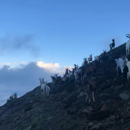 Apartamento Pedrolini